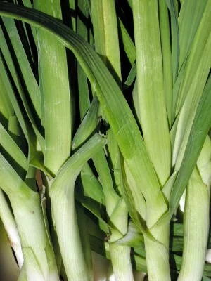 Leeks